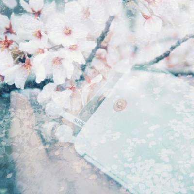 BOB博鱼·体育官网入口